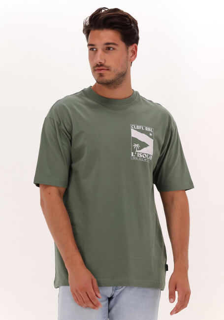 Gr&uuml;ne COLOURFUL REBEL T-shirt L'ISOLA WASHED BASIC TEE - large