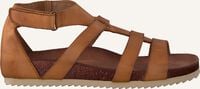 Braune CA'SHOTT Flache Sandalen 21250 Braune CA'SHOTT Flache Sandalen 21250 - medium