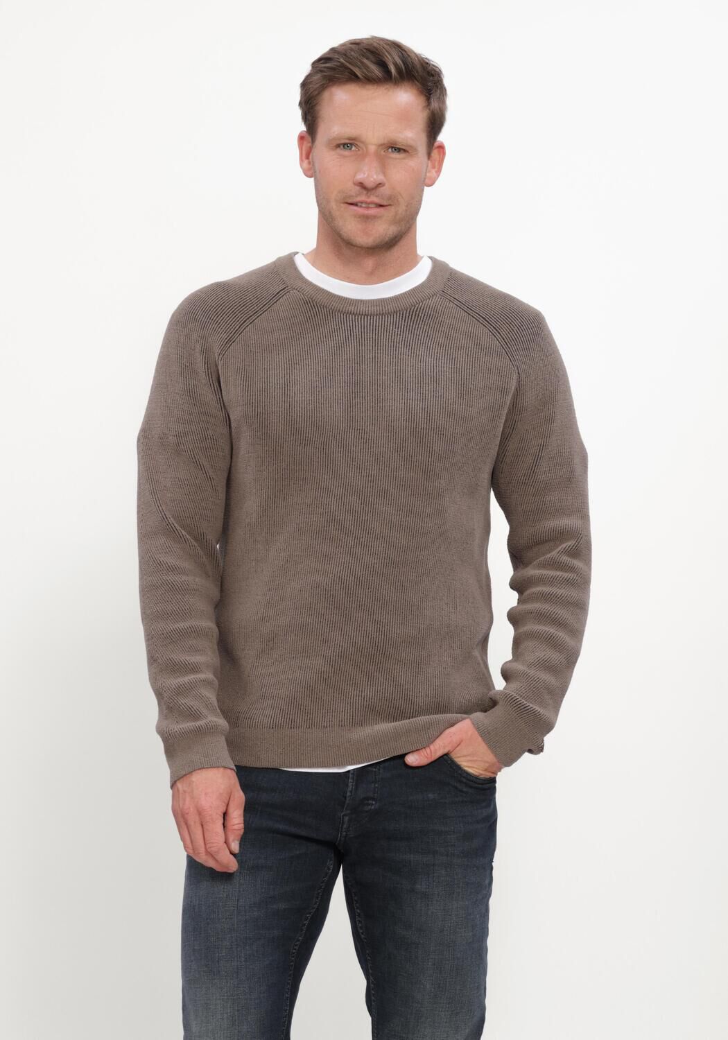 Taupe CAST IRON Pullover CREWNECK REGULAR FIT SOFT BLEND - large