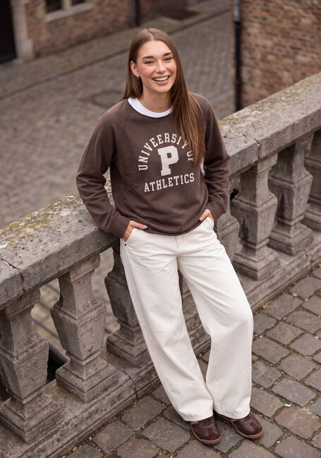 Braune PENN & INK Sweatshirt W26F1926 - large
