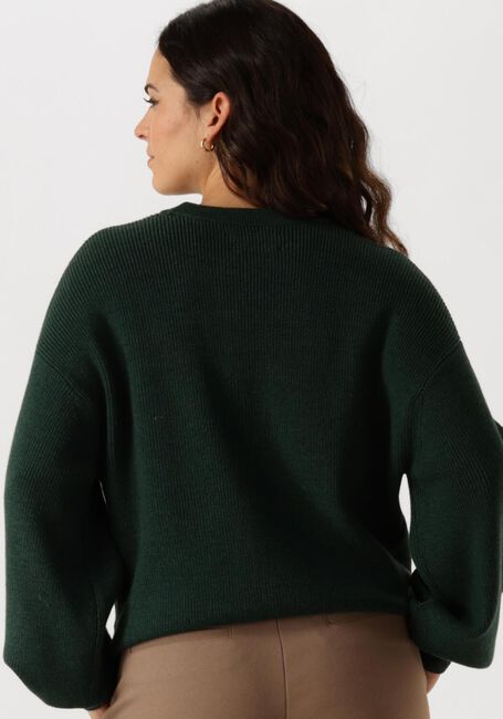 Grüne MSCH COPENHAGEN Pullover MSCHACENTIA RACHELLE PULLOVER - large