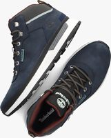 Blaue TIMBERLAND Sneaker high FIELD TREKKER MID LACE - medium