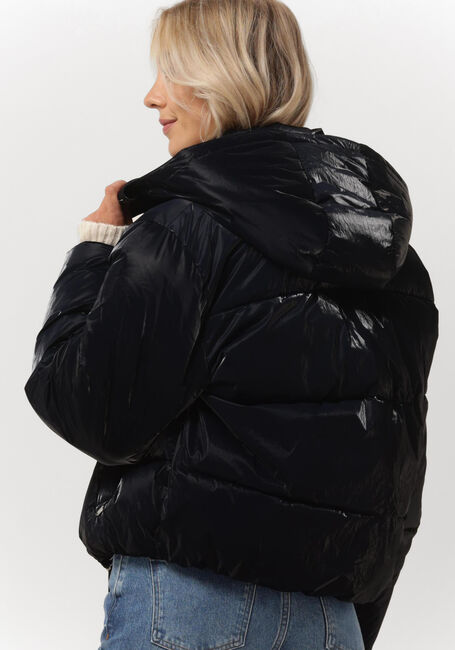 Schwarze SCOTCH & SODA Wattierte Jack WATER REPELLENT TECHNICAL PUFFER JACKET - large