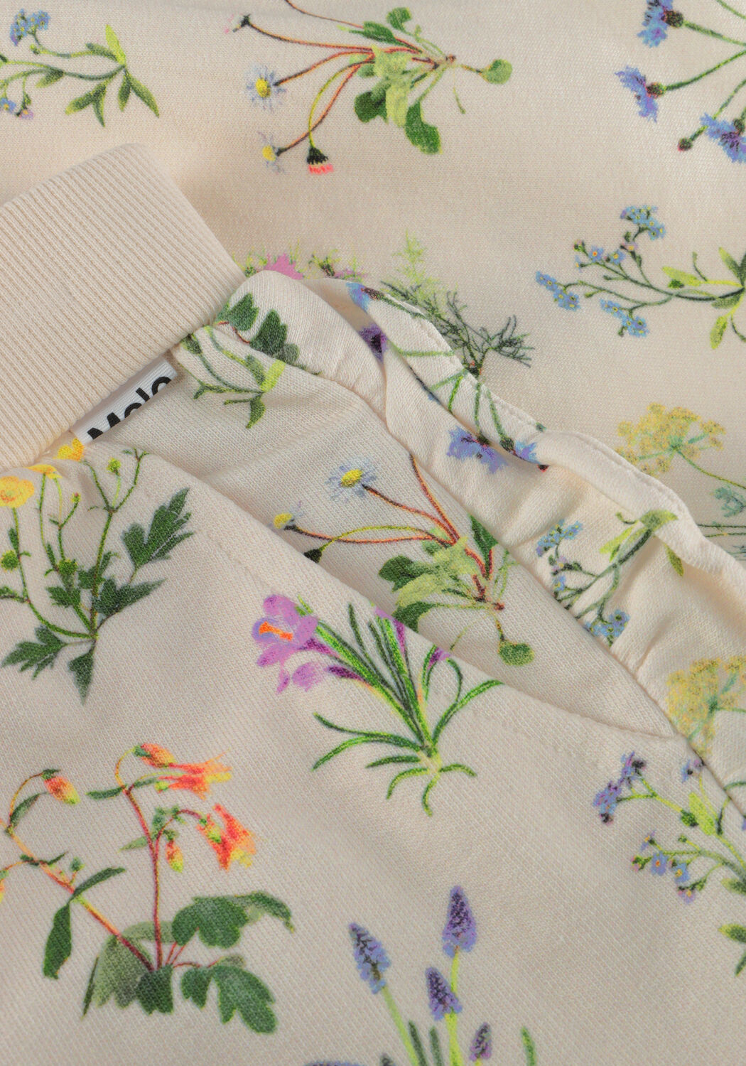 Ecru MOLO Kurze Hose ACACIA - large