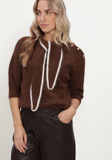 Braune BEAUMONT Pullover BARB PULLOVER - large