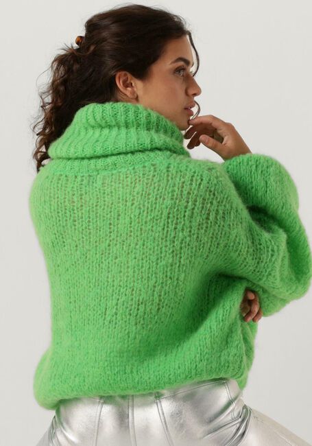 Gr&uuml;ne AMERICAN DREAMS Rollkragenpullover PEPPER ROLL NECK CROPPED - large