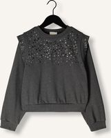 Graue AI&KO Sweatshirt CAROLLA STRASS CO 337 G Graue AI&KO Sweatshirt CAROLLA STRASS CO 337 G - medium