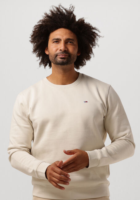 Beige TOMMY JEANS Sweatshirt TJM REGULAR FLEECE C NECK - large