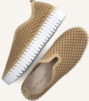 Beige ILSE JACOBSEN Slipper TULIP3373 Beige ILSE JACOBSEN Slipper TULIP3373 - medium