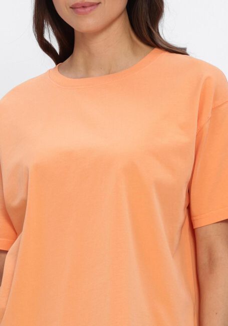 AMERICAN VINTAGE T-shirt FIZVALLEY - large