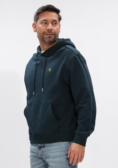 Petrol CALVIN KLEIN Sweatshirt LS 350TERRY EU MONOGRAM HOODIE - large