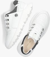 Weiße VINGINO Sneaker low LOGAN - medium