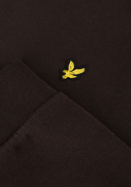 Braune LYLE & SCOTT Pullover & Cardigans PULLOVER HOODIE BOYS - large