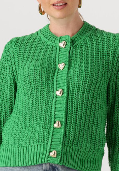 Grüne FABIENNE CHAPOT Strickjacke SUN CARDIGAN - large
