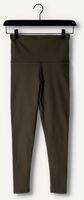 Dunkelgrün DEBLON SPORTS Legging CLASSIC LEGGINGS HIGH WAISTBAND Dunkelgrün DEBLON SPORTS Legging CLASSIC LEGGINGS HIGH WAISTBAND - medium
