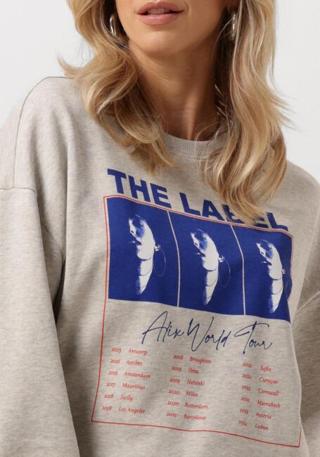 Graue ALIX THE LABEL Pullover & Cardigans LADIES KNITTED CROPPED WORLD TOUR SWEATER - large