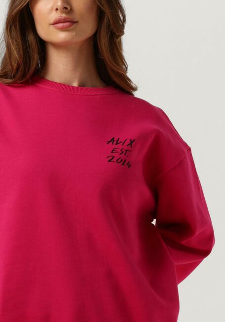 Rosane ALIX THE LABEL Pullover 2014 SWEATER - large