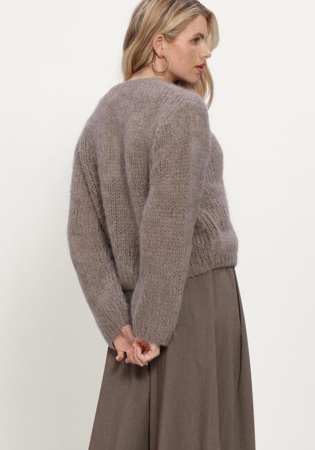 Taupe INWEAR Pullover JETRAIW CARDIGAN - large