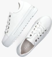 Weiße GABOR Sneaker low 496 - medium