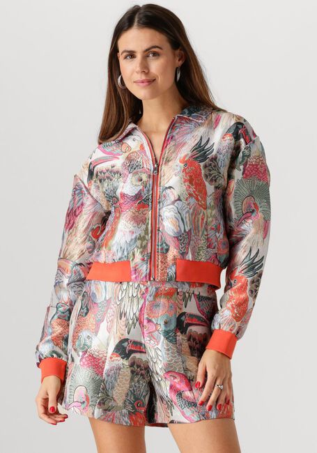 Mehrfarbige/Bunte STUDIO AMAYA Jack HAILEY - large