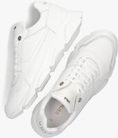 Weiße VAN LIER Sneaker low 2413400 - medium