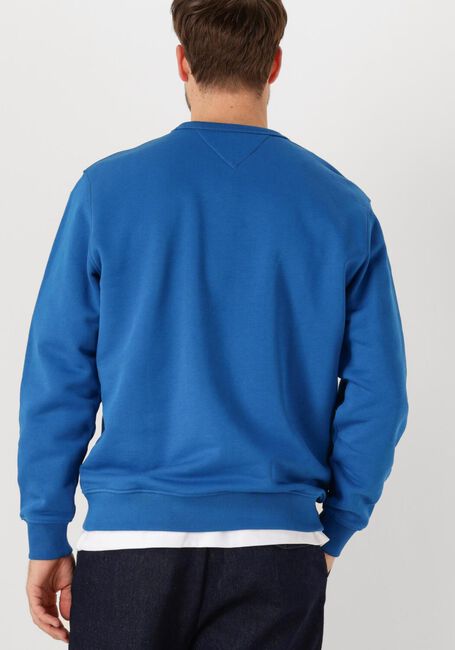 Blaue TOMMY JEANS Pullover TJM REG BADGE CREW EXT - large