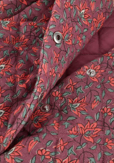 Bordeaux PETIT BLUSH Wattierte Jack BOMBER JACKET - large