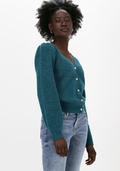 Grüne FABIENNE CHAPOT Strickjacke SALLY CARDIGAN LONG SLEEVE - large