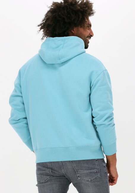 Hellblau TOMMY JEANS Sweatshirt TJM SIGNATURE HOODIE - large