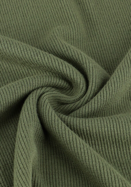 Grüne TON & TON Rollkragenpullover THYGO - large