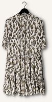 Olive SCOTCH & SODA Minikleid SHORT DRESS WITH RUFFLE SLEEVE DETAIL Olive SCOTCH & SODA Minikleid SHORT DRESS WITH RUFFLE SLEEVE DETAIL - medium