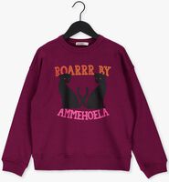 Lilane AMMEHOELA Pullover AM.ROCKY.44