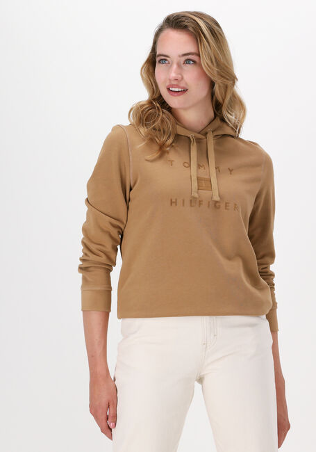 Khaki TOMMY HILFIGER Sweatshirt REGULAR FLOCK HOODIE - large
