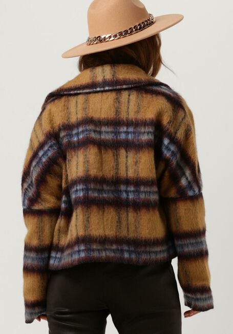 Camelfarbene IBANA Jack CHECKERD - large
