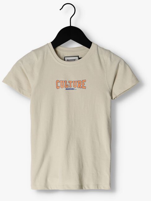 Hellgrau RAIZZED T-shirt SHERIDAN - large