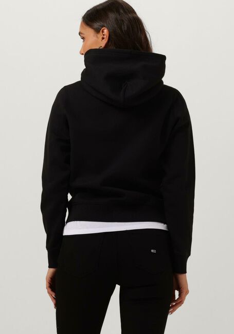 Schwarze TOMMY JEANS Pullover TJW REGULAR FLEECE HOODIE - large