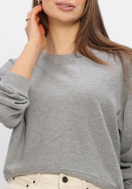 Graue AMERICAN VINTAGE Top SONOMA - large