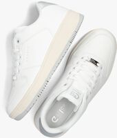 Weiße CRUYFF Sneaker low INDOOR ROYAL DAMES - medium