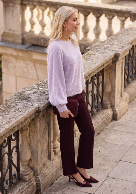 Bordeaux CAMBIO Hose FARAH - large