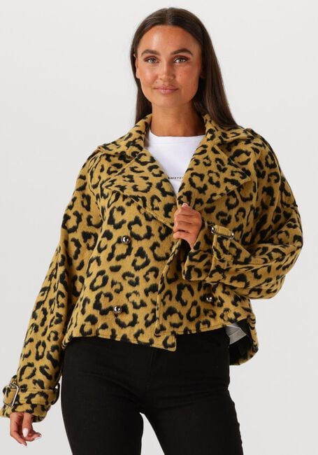 Ocker AMAYA AMSTERDAM Jack LOTUS - large