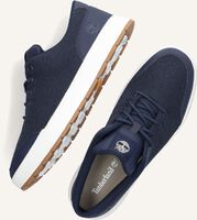 Blaue TIMBERLAND Sneaker Low MAPLE GROVE KNIT Blaue TIMBERLAND Sneaker Low MAPLE GROVE KNIT - medium