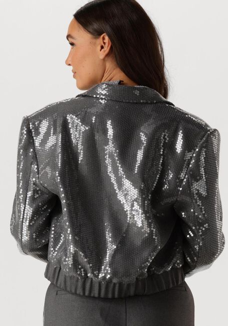Graue AAIKO Blazer MILLE SEQUINS PES 356 - large