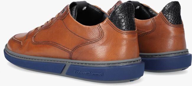 Cognacfarbene FLORIS VAN BOMMEL Sneaker low SFM-10075-02 - large