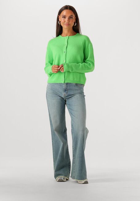 Grüne CIRCLE OF TRUST Strickjacke BODI CARDIGAN - large