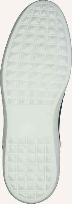 Blaue GAASTRA Sneaker Low TILTON Blaue GAASTRA Sneaker Low TILTON - large