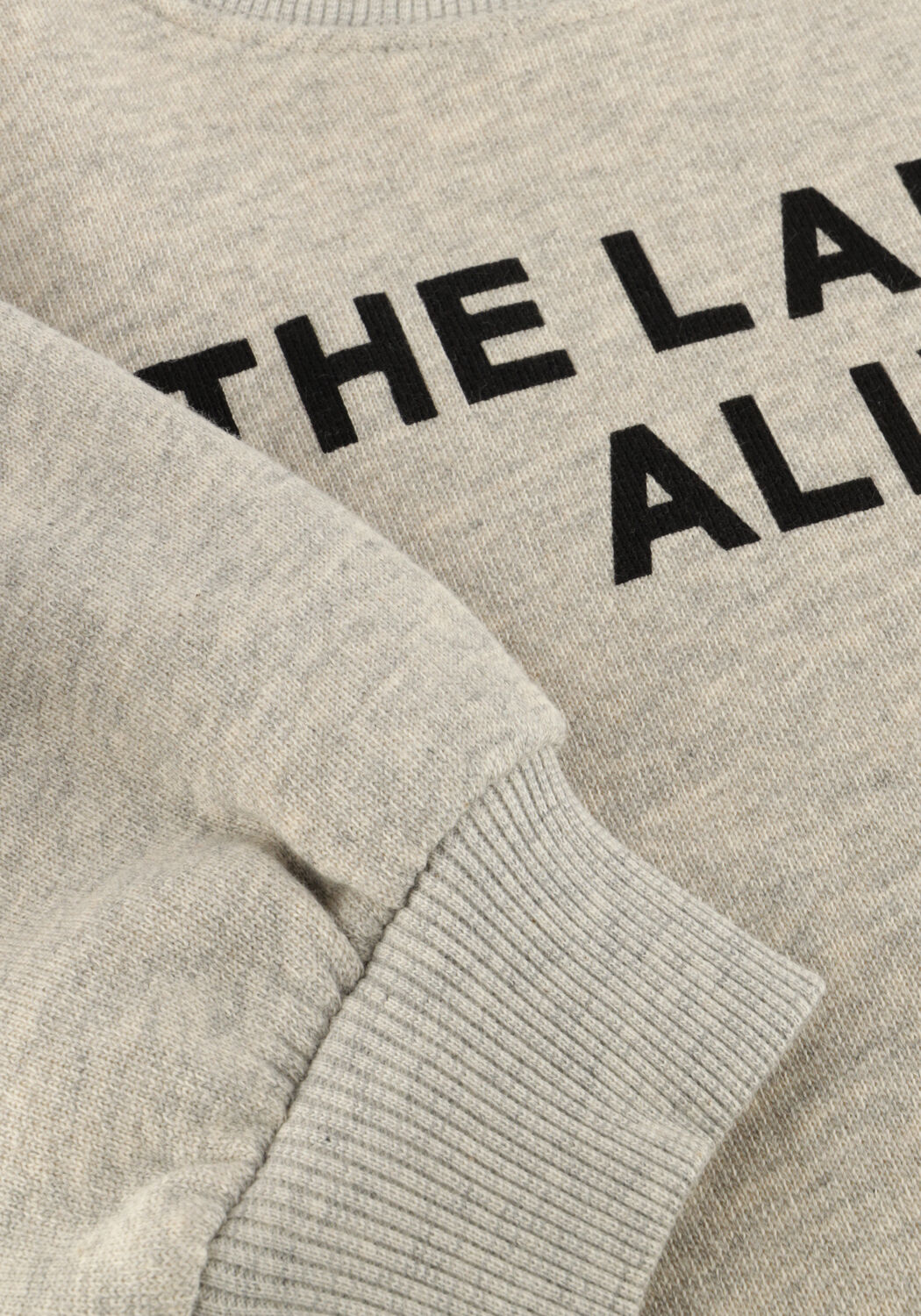 Hellgrau ALIX MINI Pullover KNITTED STRASS LOGO SWEATER - large