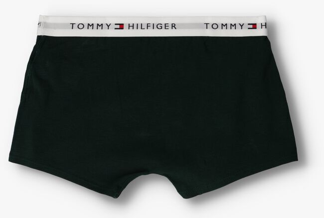 Graue TOMMY HILFIGER UNDERWEAR Boxershort 2P TRUNK BOXER TH - large