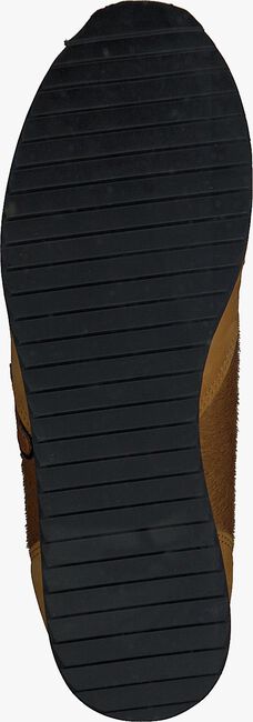 Cognacfarbene FLORIS VAN BOMMEL Sneaker low 85256 - large