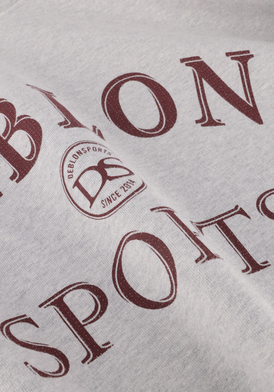 Hellgrau DEBLON SPORTS Sweatshirt LILOU SWEATER - large