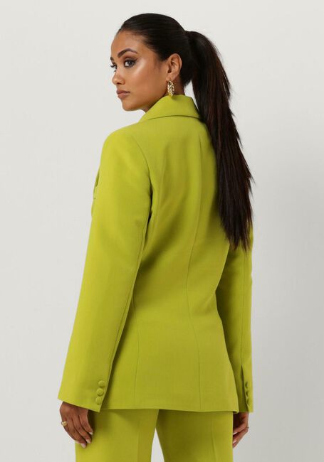 Limette ACCESS Blazer DOUBLE-BREASTED BLAZER WITH TONA - large